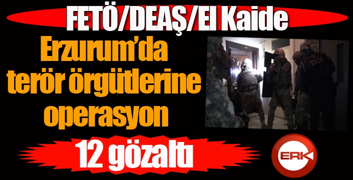 Erzurum’da FETÖ/DEAŞ/El Kaide terör örgütlerine yönelik operasyon: 12 gözaltı