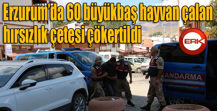 Erzurum’da hayvan hırsızlığı çetesi çökertildi