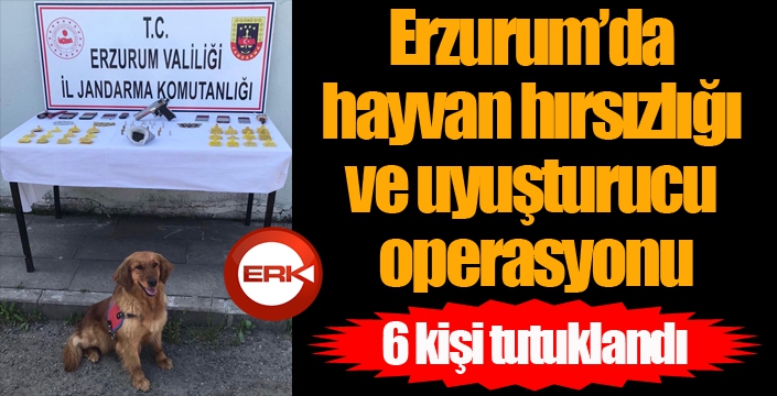 Erzurum’da hayvan hırsızlığı ve uyuşturucu operasyonu: 6 tutuklu