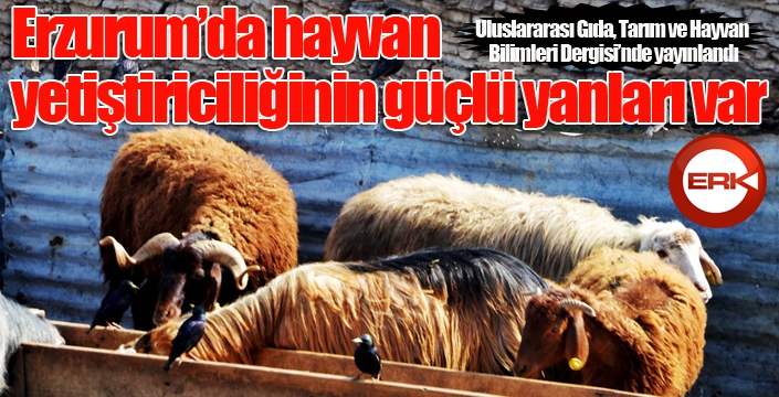 Erzurum’da hayvan yetiştiriciliğinin güçlü yanları var