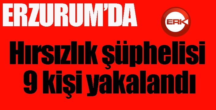 Erzurum’da hırsızlık şüphelisi 9 kişi yakalandı
