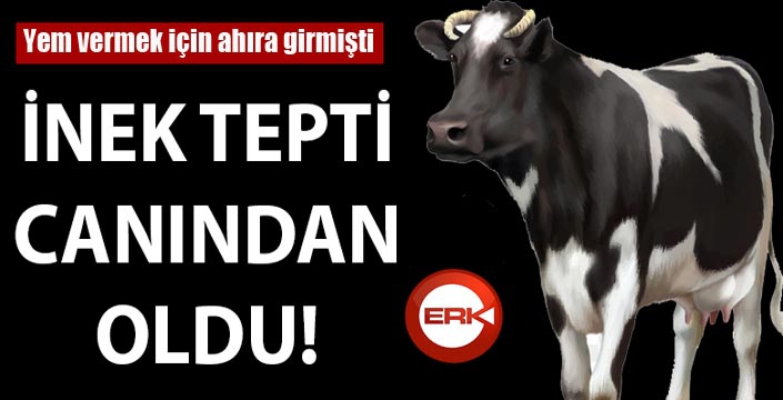 Erzurum'da ineğin teptiği kadın öldü