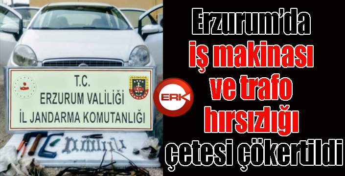 Erzurum’da iş makinası ve trafo hırsızlığı çetesi çökertildi