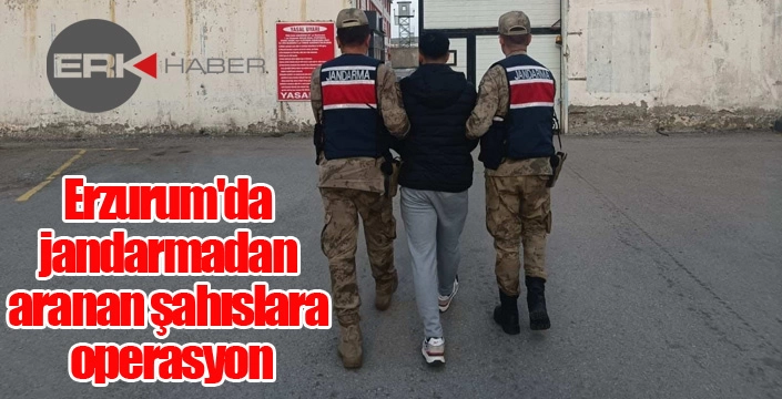 Erzurum'da jandarmadan aranan şahıslara operasyon
