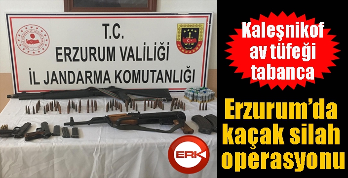 Erzurum’da kaçak silah operasyonu