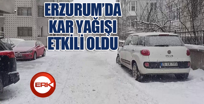 Erzurum'da kar yağışı etkili oldu