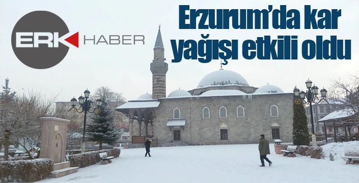 Erzurum’da kar yağışı etkili oldu
