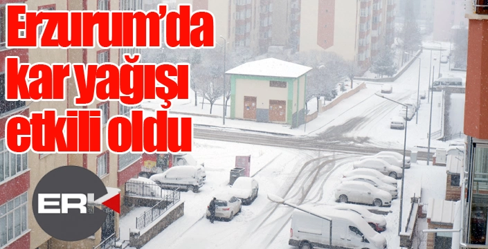 Erzurum'da kar yağışı etkili oldu...