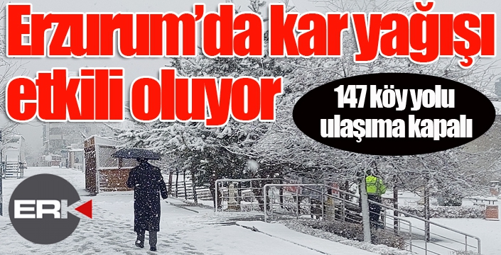 Erzurum’da kar yağışı etkili oluyor, 147 köy yolu ulaşıma kapalı