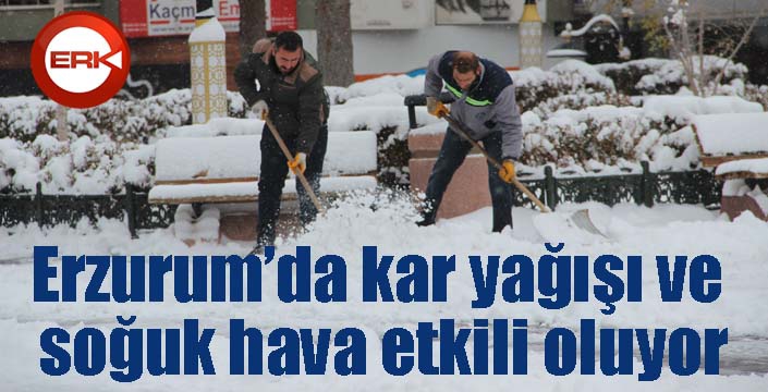 Erzurum’da kar yağışı ve soğuk hava etkili oluyor