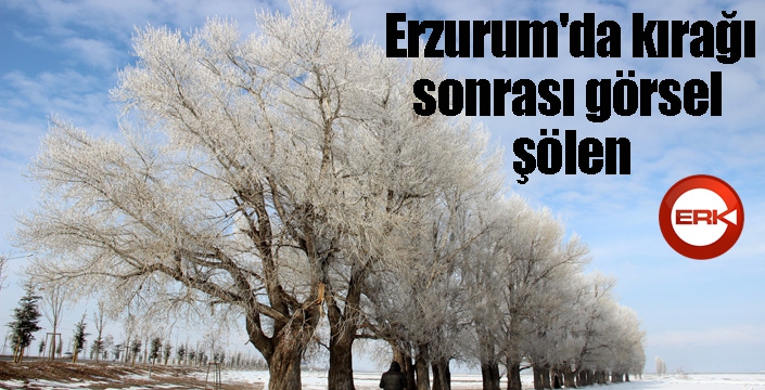 Erzurum'da kırağı sonrası görsel şölen