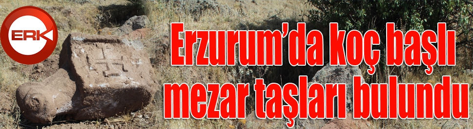 Erzurum’da koç başlı mezar taşları bulundu