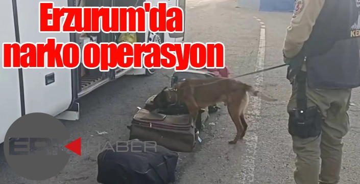 Erzurum'da narko operasyon