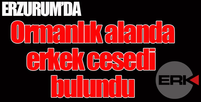 Erzurum'da ormanlık alanda erkek cesedi bulundu...