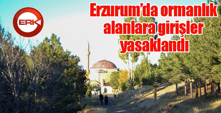 Erzurum’da ormanlık alanlara girişler yasaklandı
