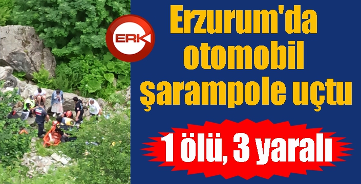 Erzurum'da otomobil şarampole uçtu: 1 ölü, 3 yaralı