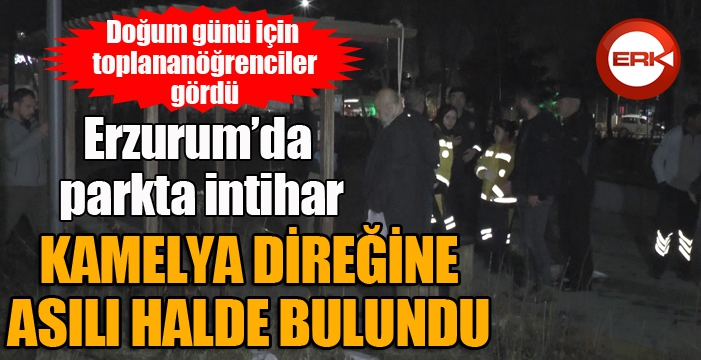 Erzurum'da parkta intihar...