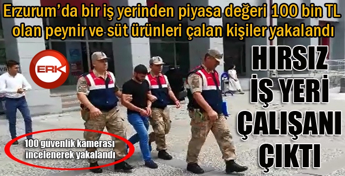 Erzurum'da peynir hırsızları 100 güvenlik kamerası incelenerek yakalandı