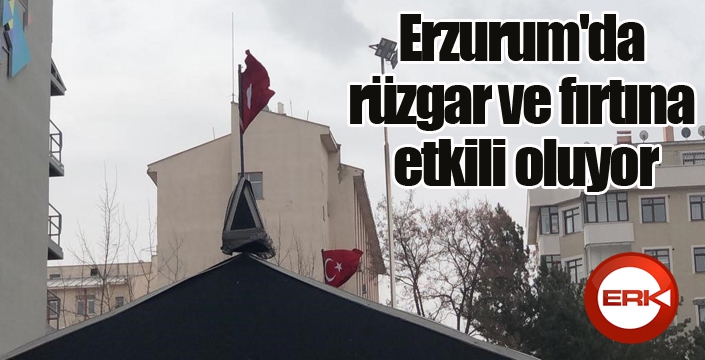 Erzurum'da rüzgar ve fırtına etkili oluyor