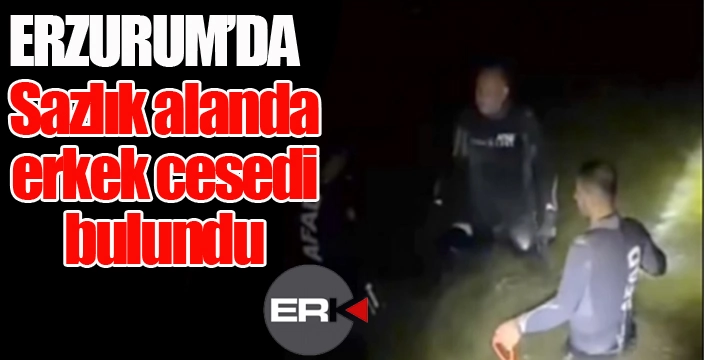 Erzurum'da sazlık alanda bir erkek cesedi bulundu