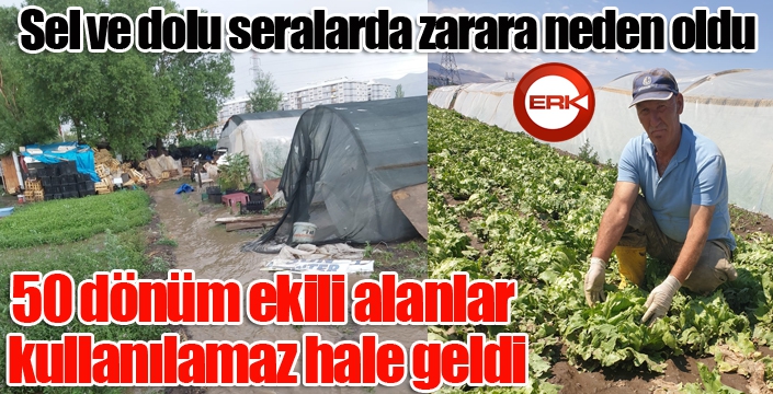 Erzurum'da sel ve dolu seralarda zarara neden oldu