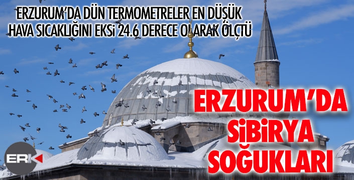 Erzurum'da Sibirya soğukları... 