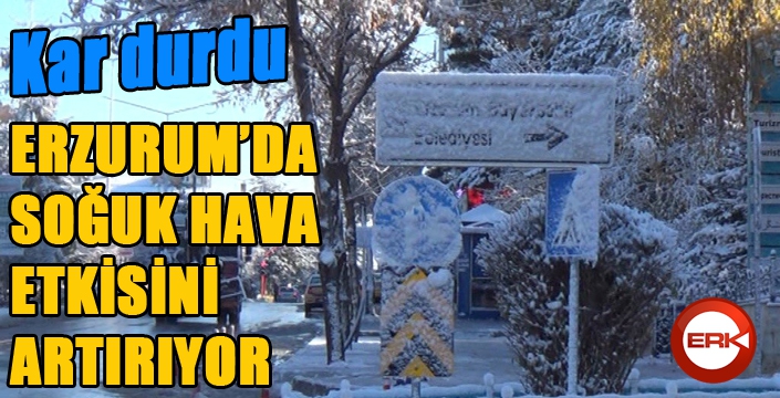 Erzurum'da soğuk hava etkisini artırıyor...