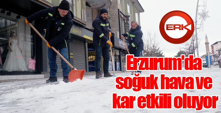 Erzurum'da soğuk hava ve kar etkili oluyor