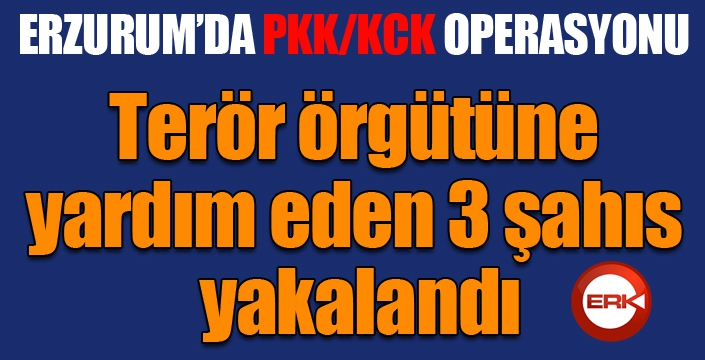 Erzurum'da terör örgütüne yardım eden 3 şahıs yakalandı