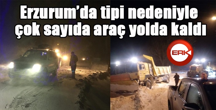 Erzurum’da tipi nedeniyle çok sayıda araç yolda kaldı