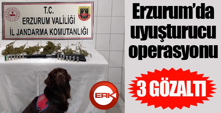 Erzurum’da uyuşturucu operasyonu: 3 gözaltı