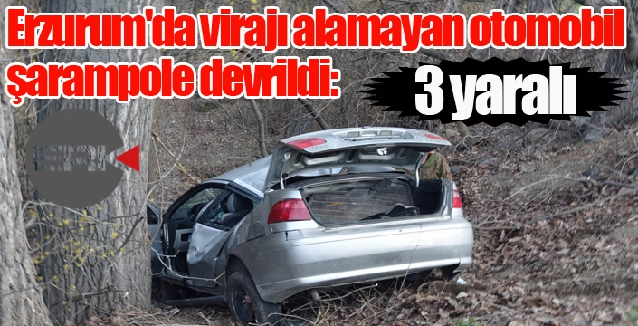 Erzurum'da virajı alamayan otomobil şarampole devrildi: 3 yaralı