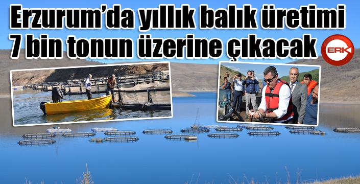 Erzurum'da yıllık balık üretimi 7 bin tona çıkacak...