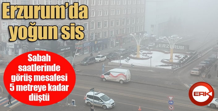 Erzurum’da yoğun sis görüş mesafesini düşürdü, ağaçlar kırağı tuttu