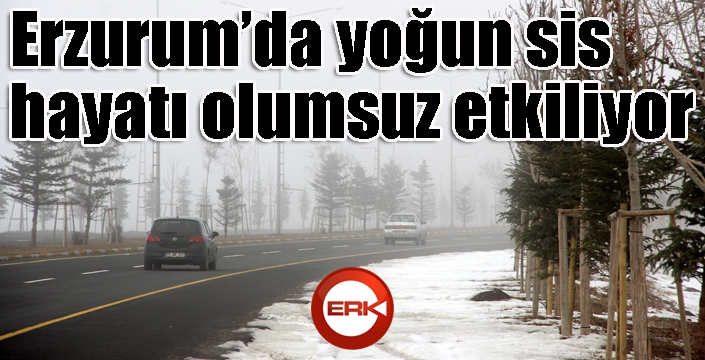 Erzurum’da yoğun sis hayatı olumsuz etkiliyor