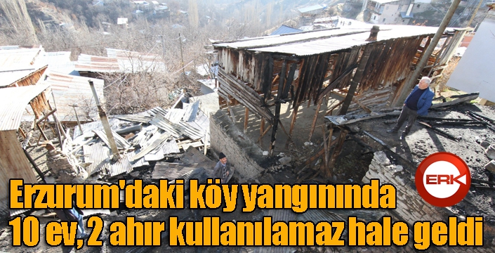 Erzurum'daki köy yangınında 10 ev, 2 ahır kullanılamaz hale geldi