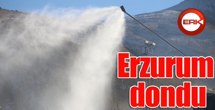 Erzurum dondu