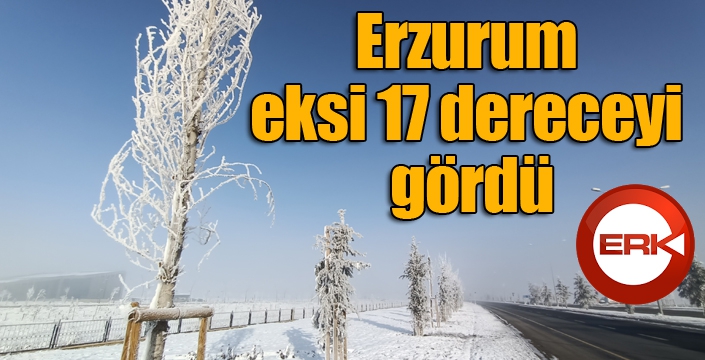 Erzurum eksi 17 dereceyi gördü