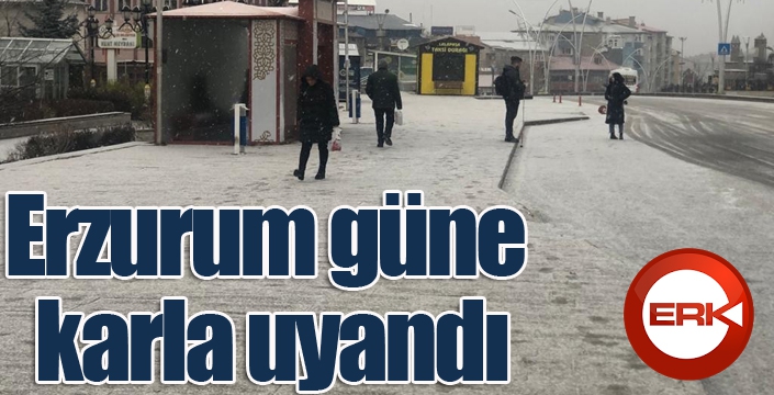 Erzurum güne karla uyandı