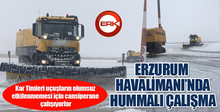 Erzurum Havalimanı kar timi görev başında