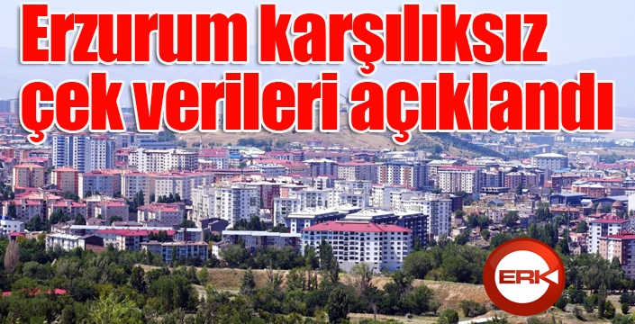 Erzurum karşılıksız çek verileri açıklandı