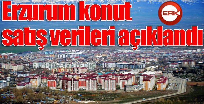 Erzurum konut satış verileri açıklandı