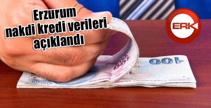 Erzurum nakdi kredi verileri açıklandı