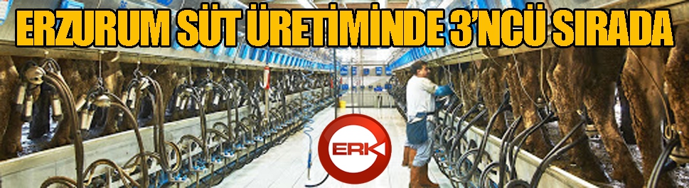 Erzurum süt üretiminde 3'ncü sırada...