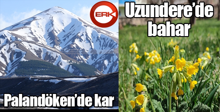 Erzurum’un bir yanı kar bir yanı bahar