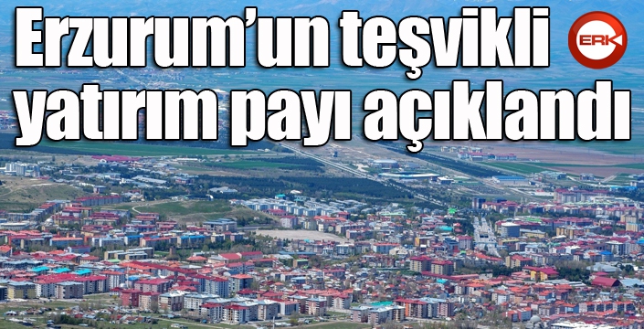 Erzurum’un teşvikli yatırım payı açıklandı