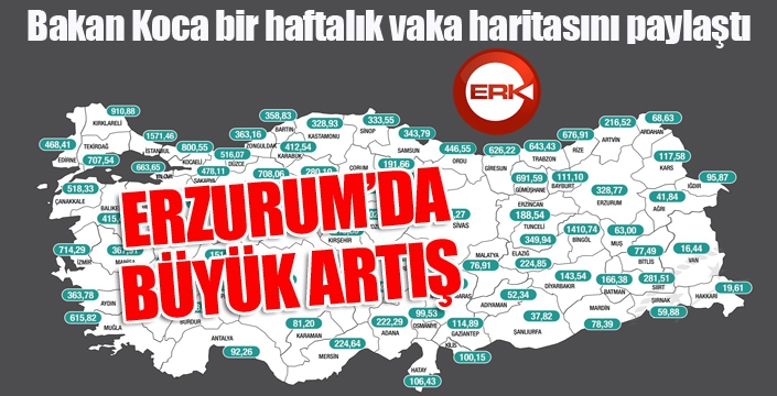 Erzurum vaka sayısı en çok artan iller arasında...