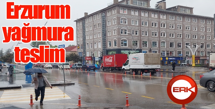 Erzurum yağmura teslim