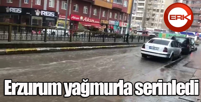 Erzurum yağmurla serinledi