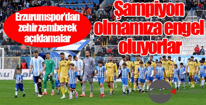 Erzurumspor FK: 